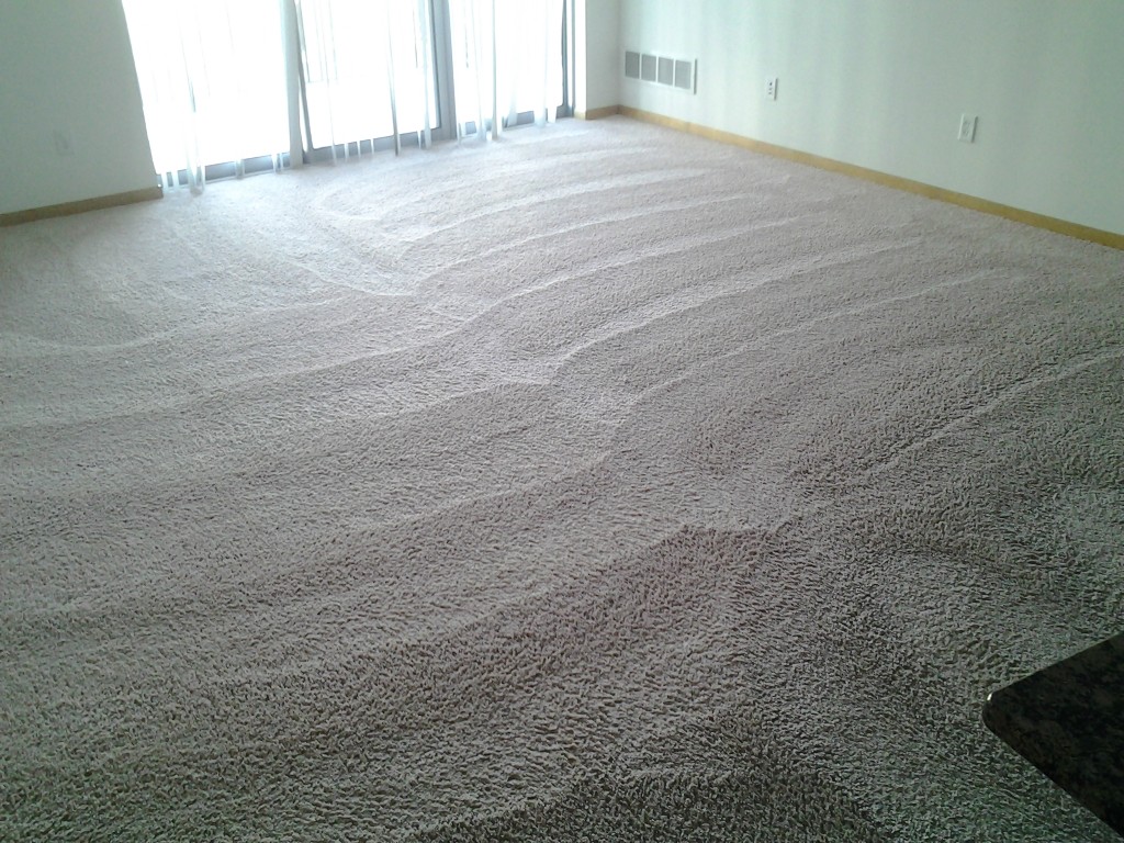 professional carpet cleaning