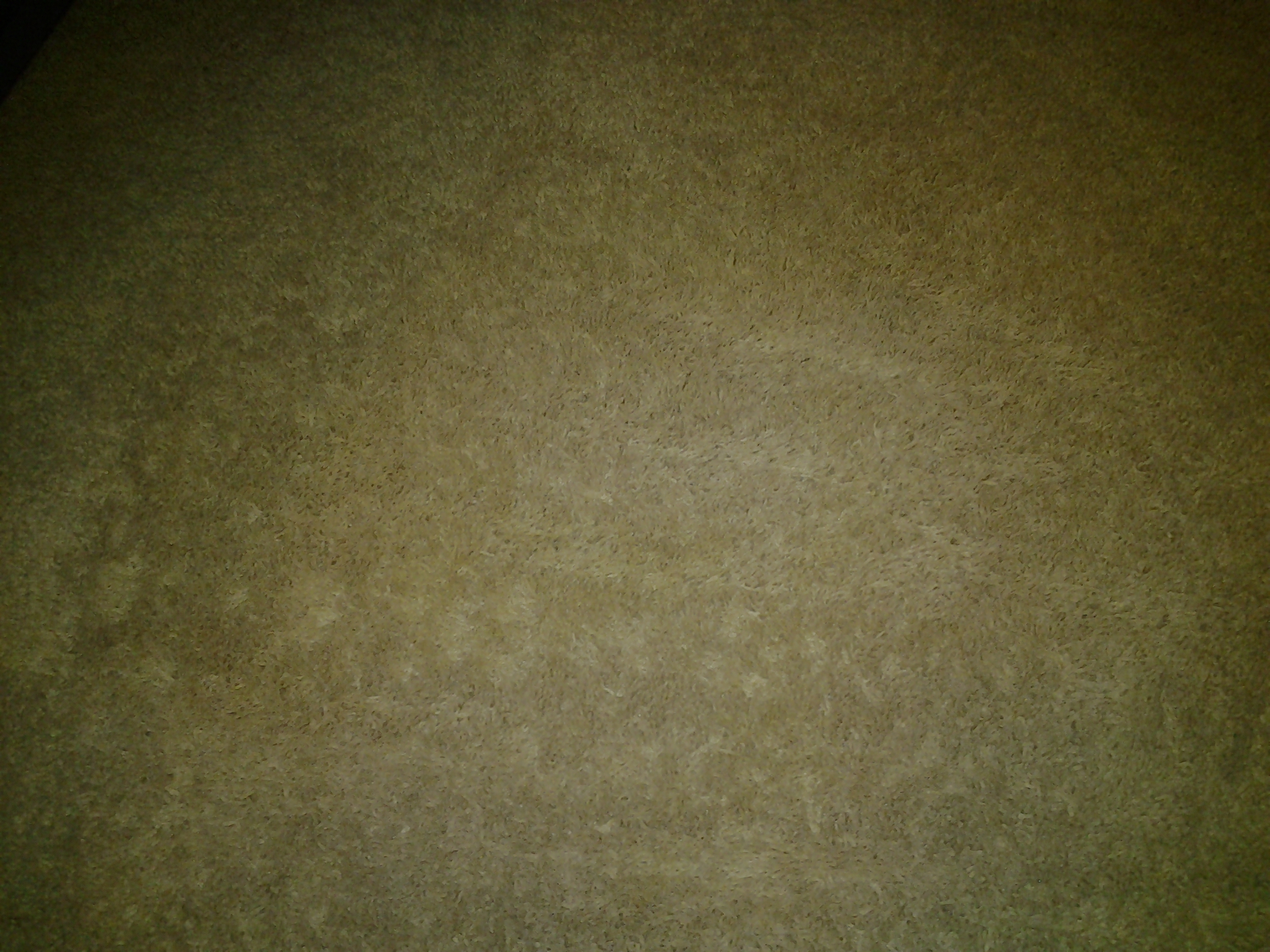 stain removal