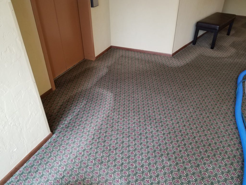 Carpet Cleaning