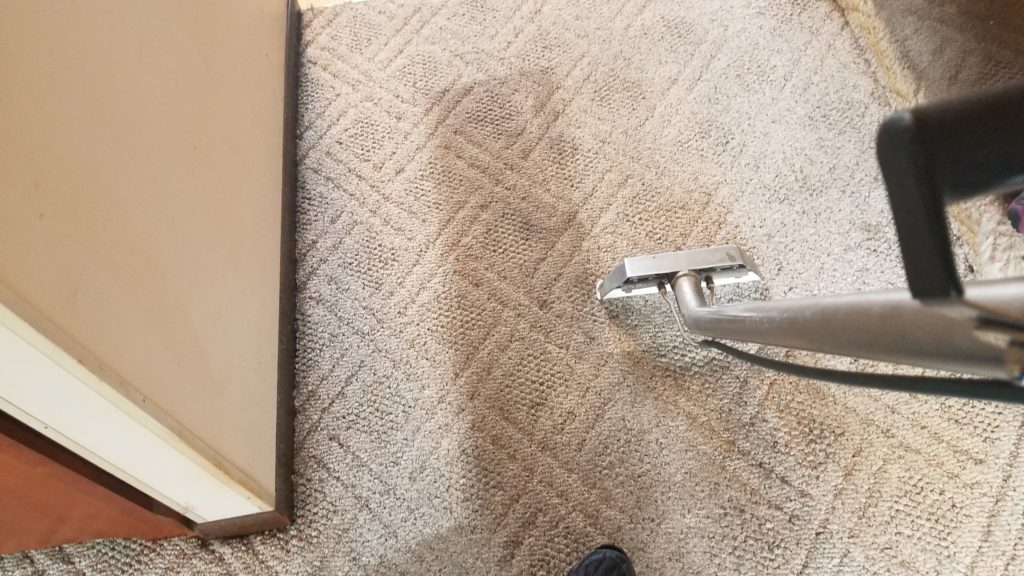 Carpet Cleaning