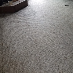 Carpet Cleaning