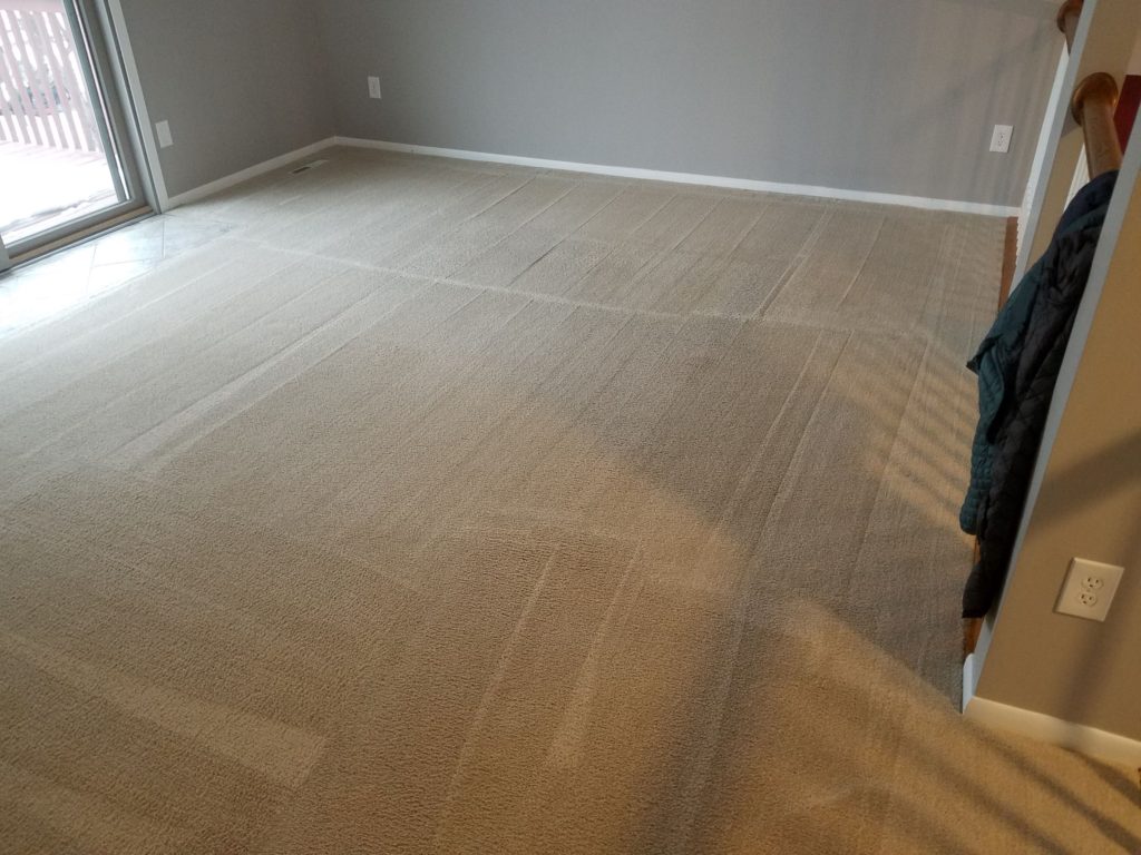 Carpet Cleaning