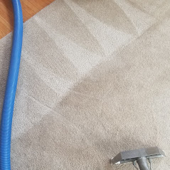 Steam cleaning