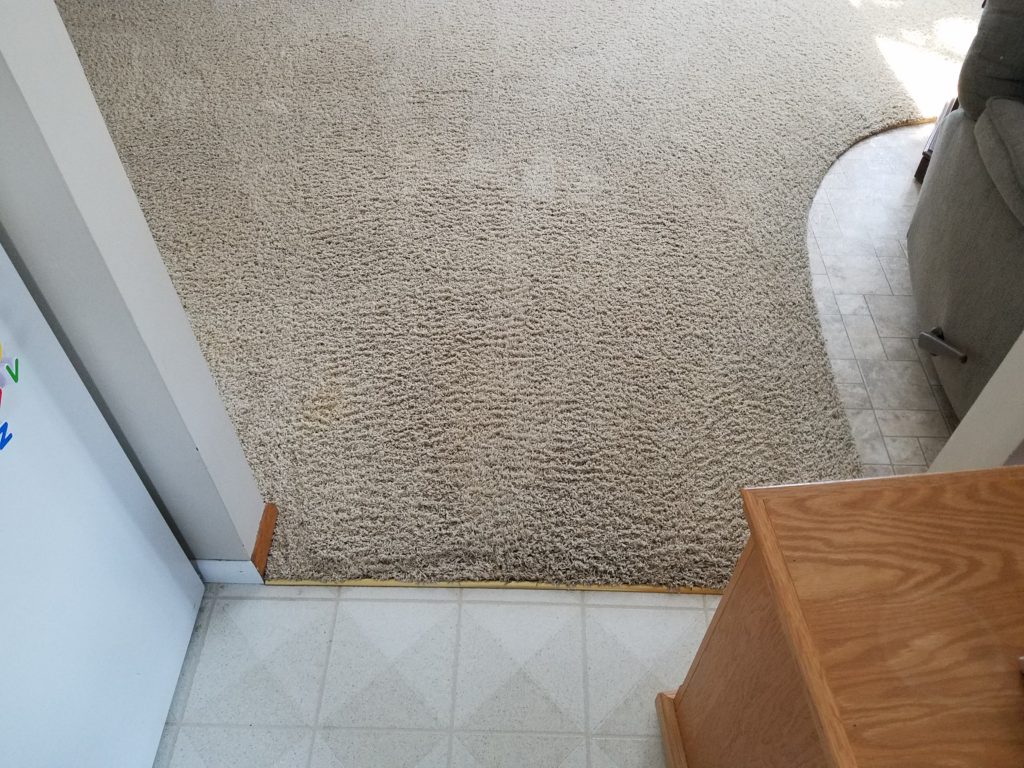 Dining room entry carpet cleaning