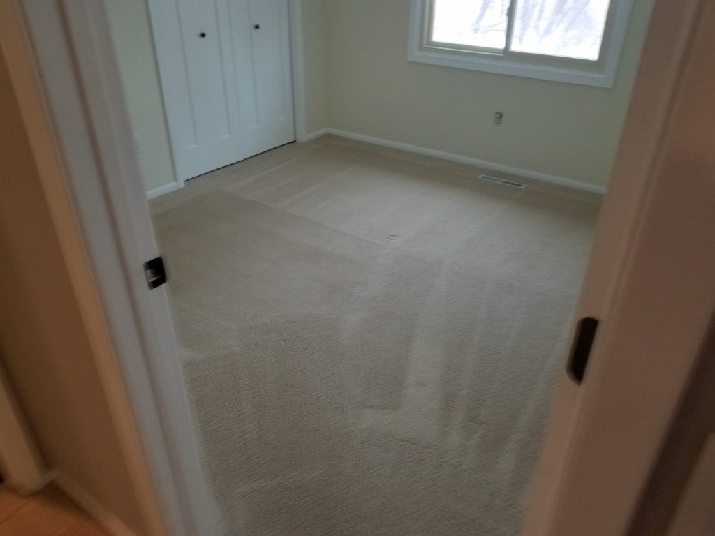 bedroom carpet cleaning